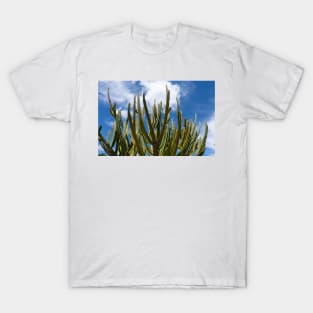 Tall green candelabra cactus i n Auckland Botanical Gardens T-Shirt